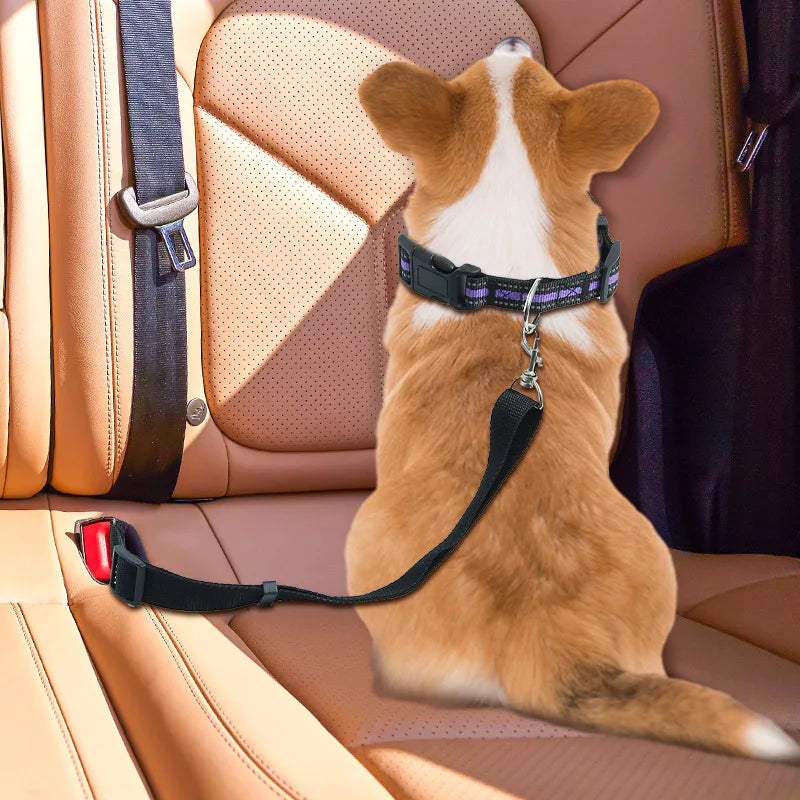 Retractable Dog Car Seat Belt — Adjustable Safety Harness Leash for Car Travel