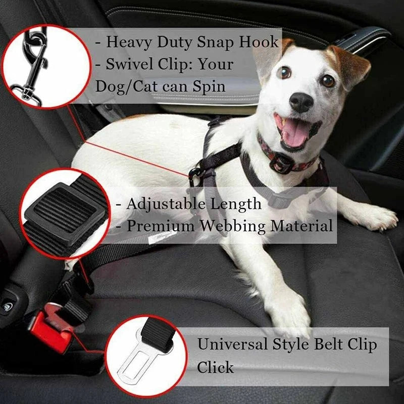 Nylon Dog Seat Belt Harness with Bungee Buffer — Reflective, Multiple Sizes