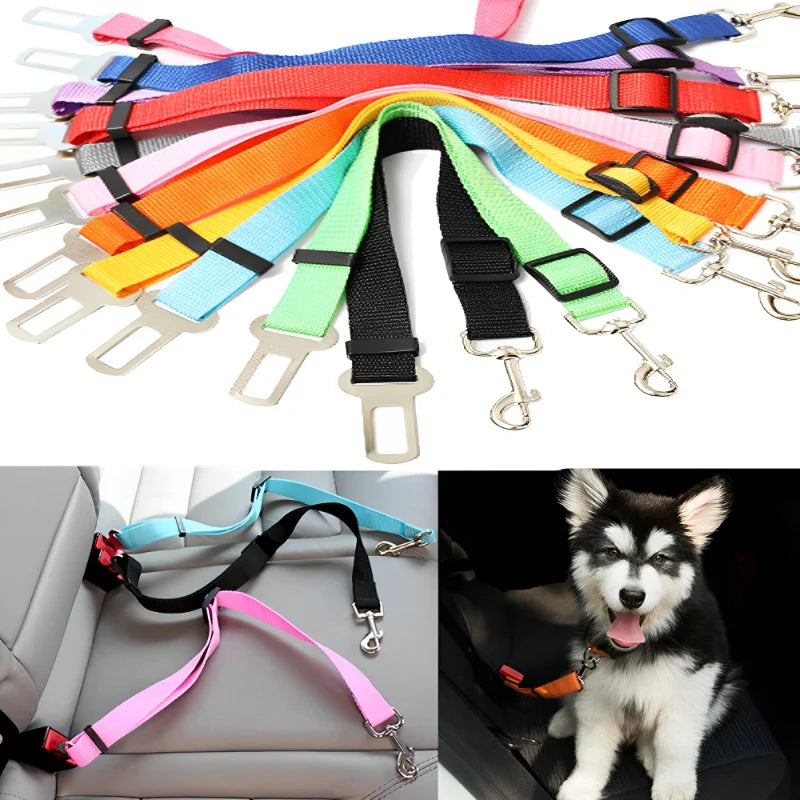 Universal Dog & Cat Car Safety Buckle Clip — Adjustable Nylon, 9 Sizes