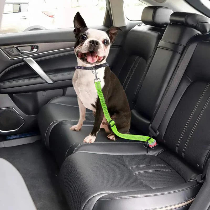 Premium Dog & Cat Car Safety Belt — Reflective Adjustable Traction Collar