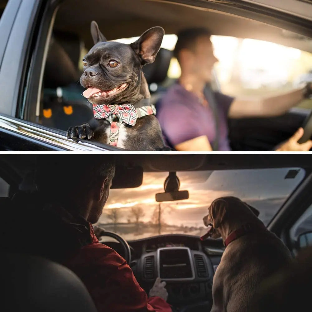 Quilted Waterproof Dog Front Seat Cover — Non-Slip Padded Protector for All Cars