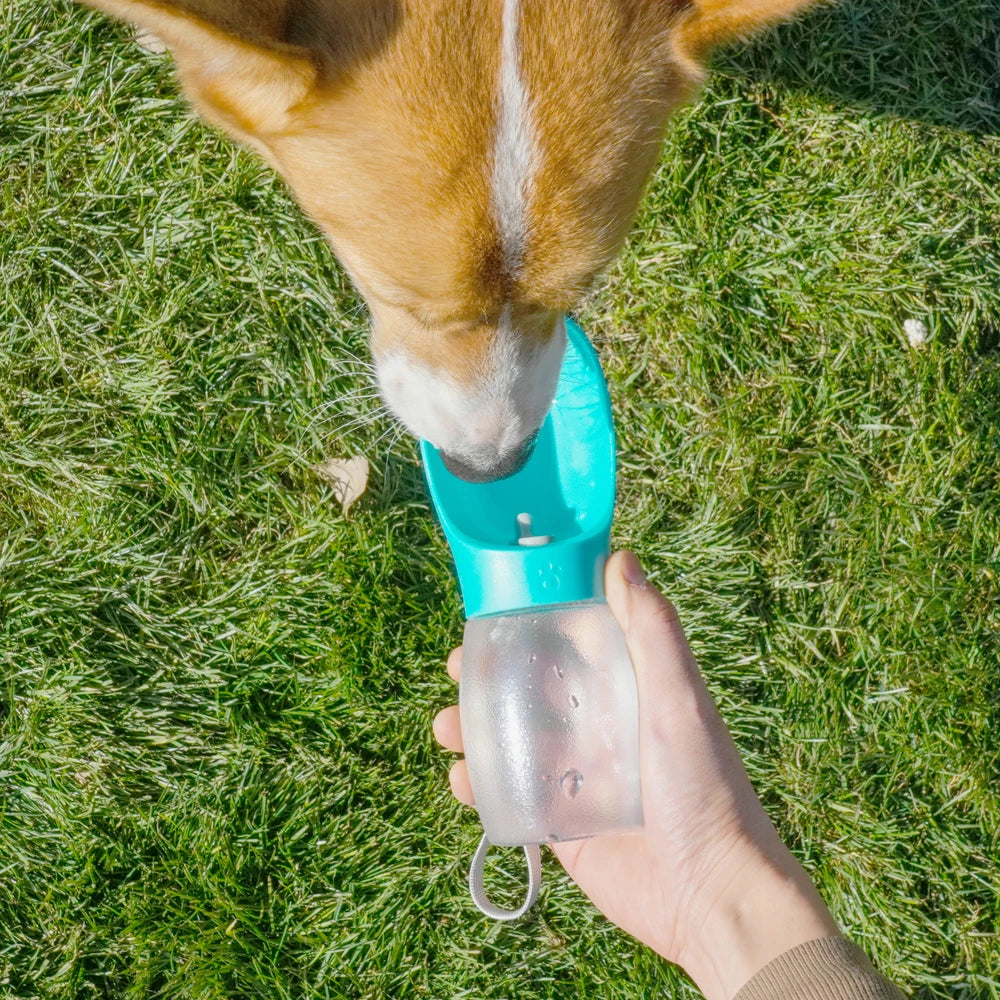 Portable Dog Travel Water Bottle — Leak-Proof with Flip Bowl