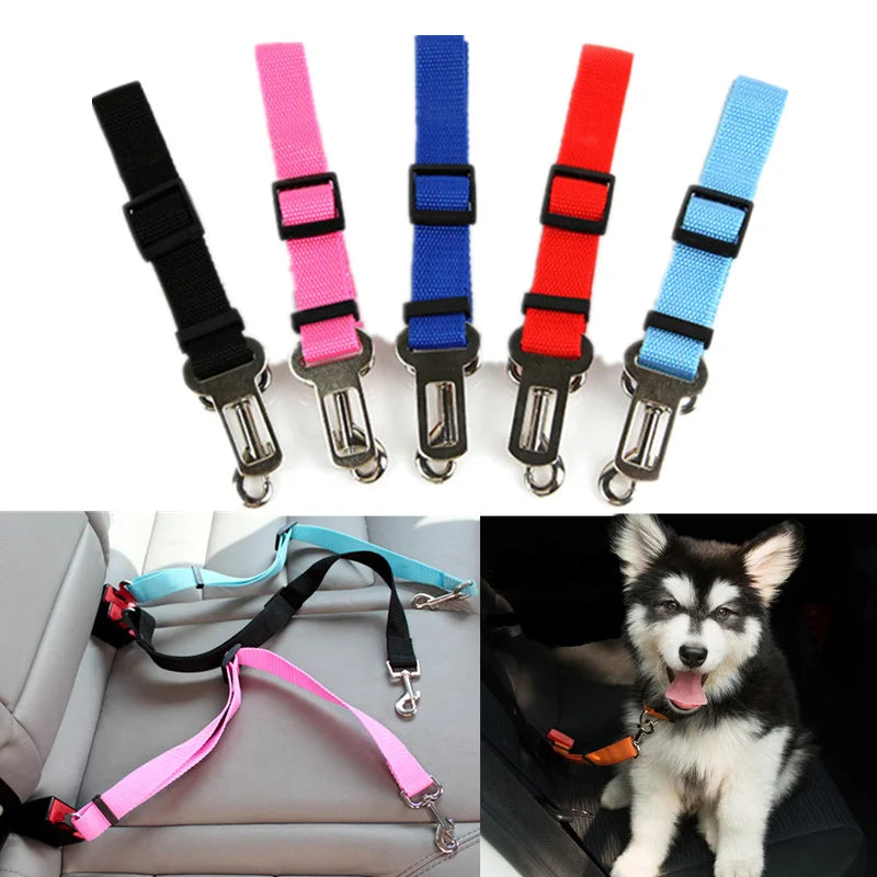 Universal Dog & Cat Car Safety Buckle Clip — Adjustable Nylon, 9 Sizes