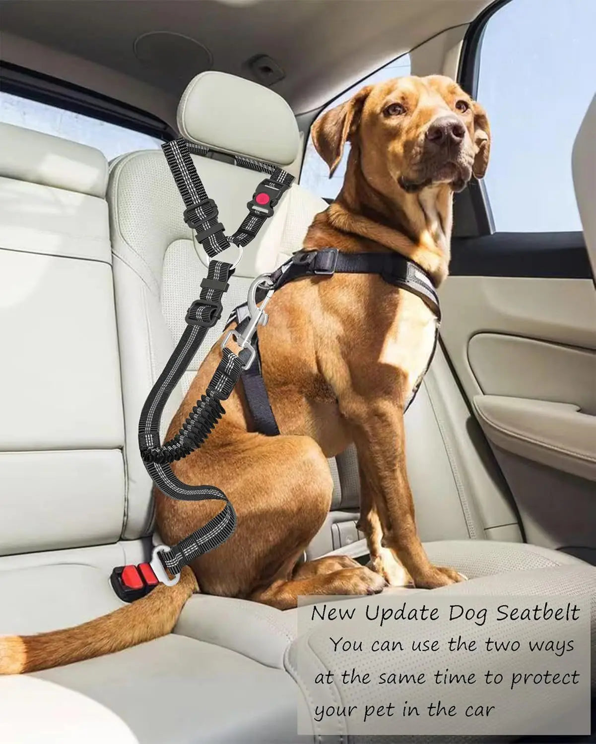 Adjustable Dog Car Seat Belt with Bungee Shock Buffer — 3 Sizes