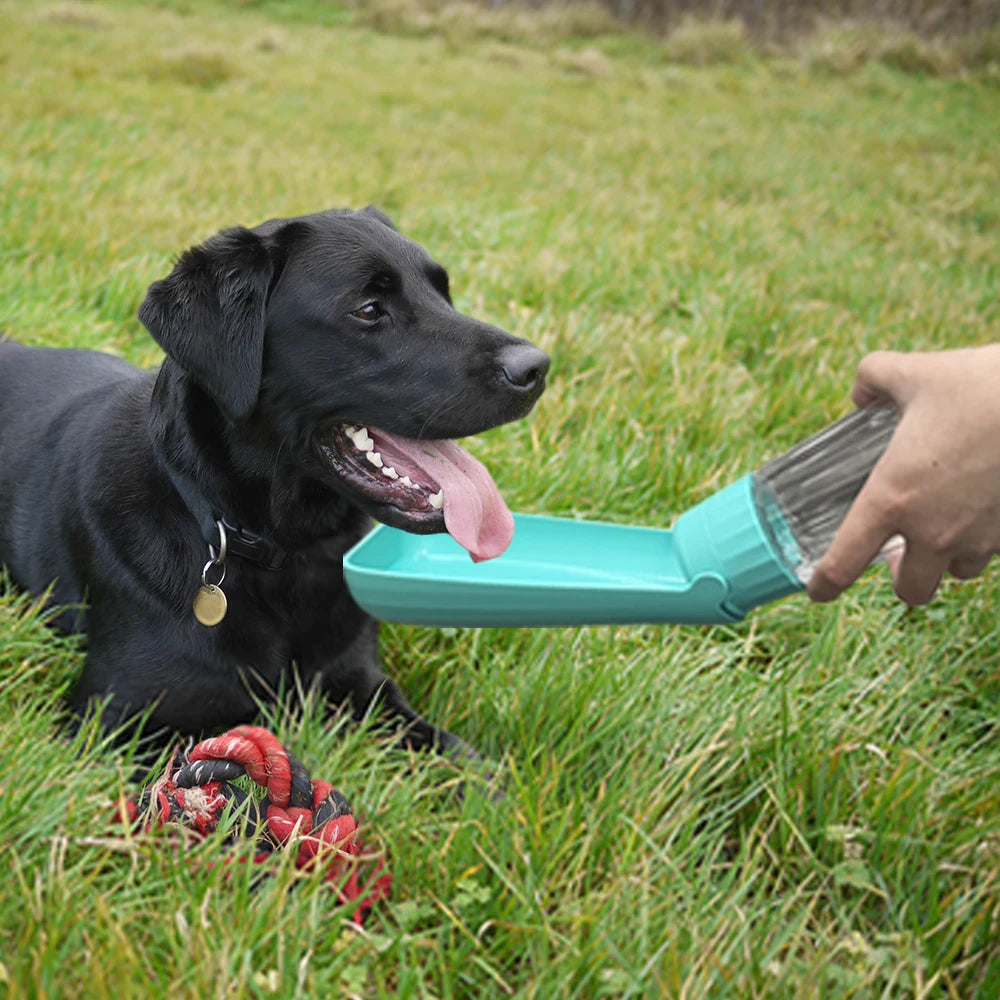 Outdoor Portable Dog Water Bottle with Drinking Bowl — Leak-Proof, 3 Sizes