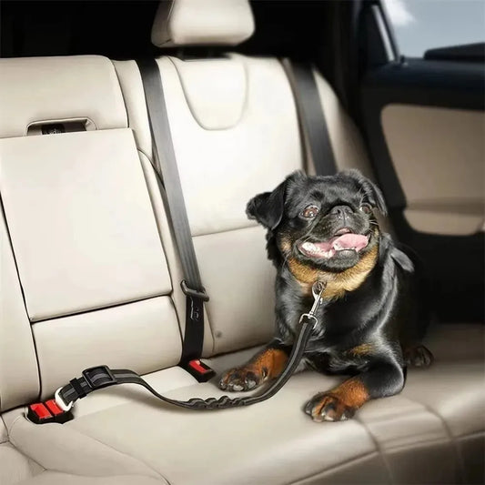 Anti-Shock Dog Car Seat Belt — Bungee Buffer Reflective Nylon Safety Harness