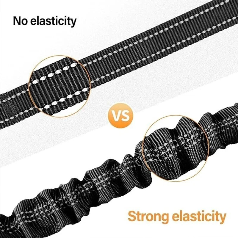 Nylon Dog Seat Belt Harness with Bungee Buffer — Reflective, Multiple Sizes