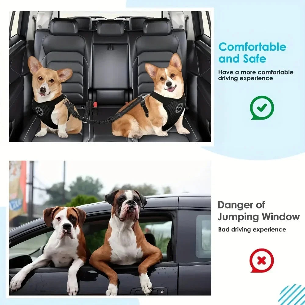 Dual Dog Car Safety Belt with Shock Absorber — For Two Dogs