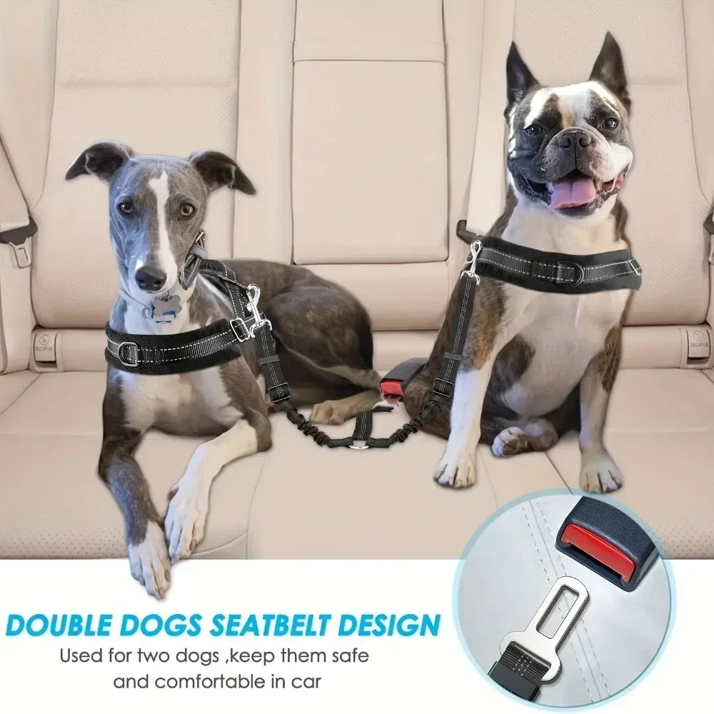 Dual Dog Car Safety Belt with Shock Absorber — For Two Dogs