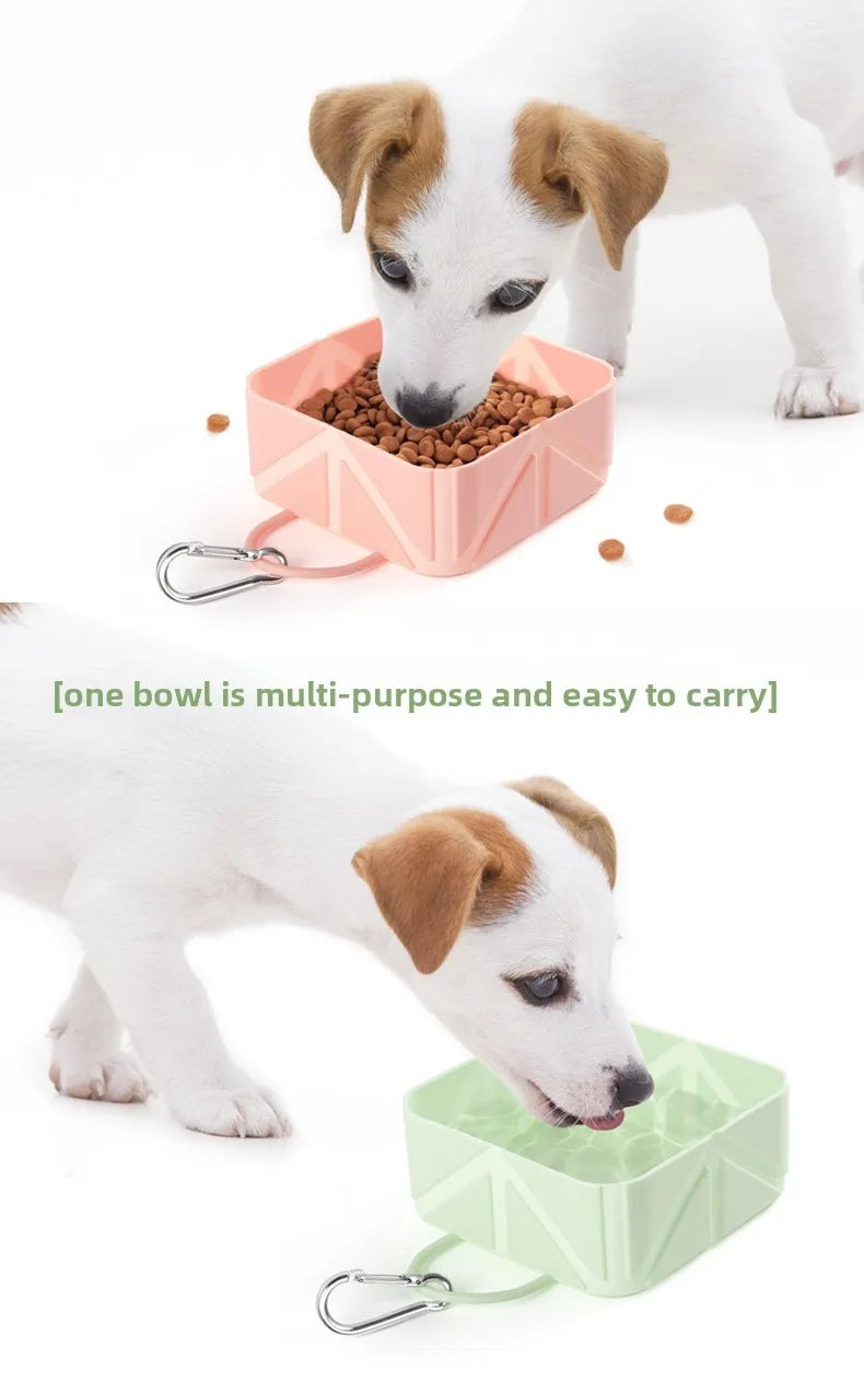 Collapsible Silicone Dog Travel Bowl — Portable & Foldable, 2-Pack