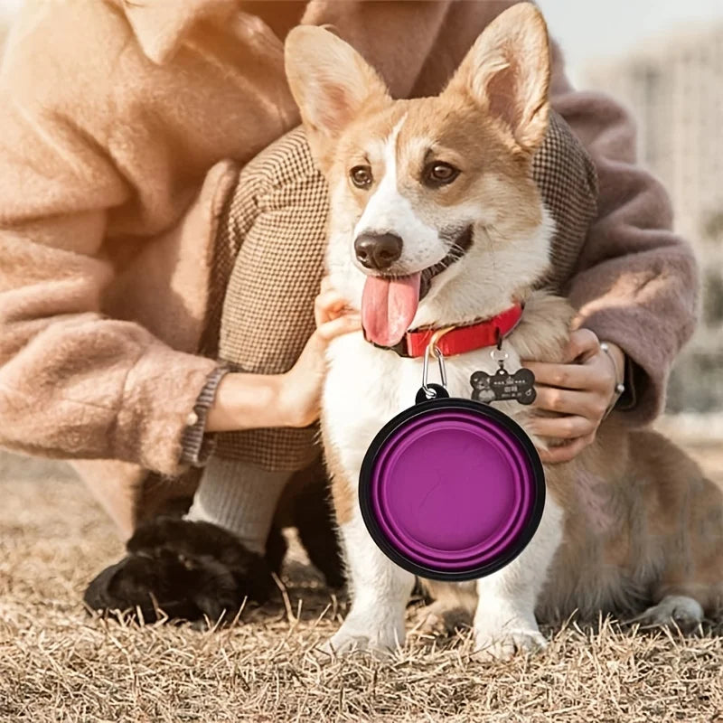 Portable Collapsible Dog Travel Bowl — TPR Silicone Food & Water Feeder, 9 Sizes