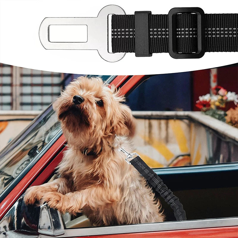 Nylon Dog Seat Belt Harness with Bungee Buffer — Reflective, Multiple Sizes