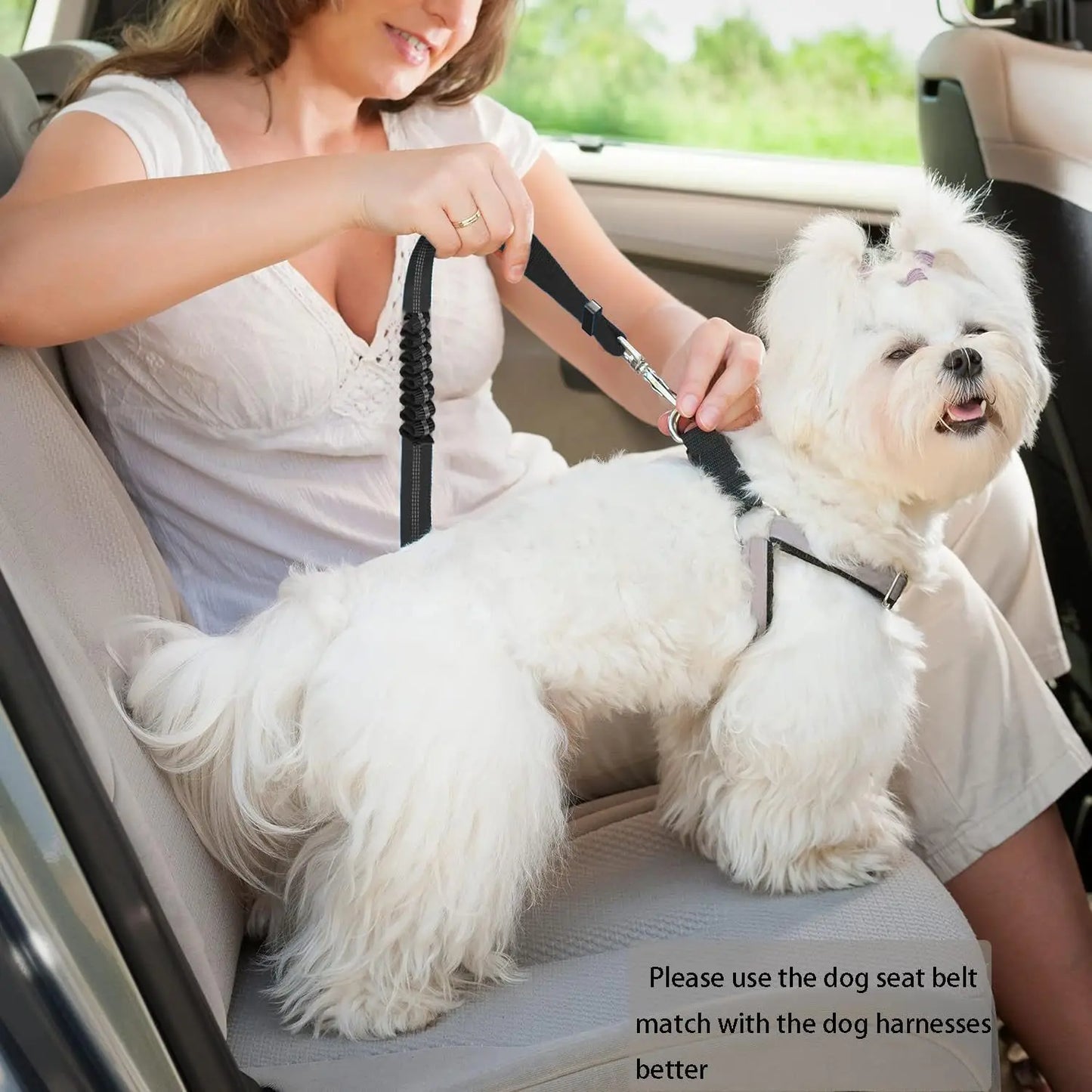 Adjustable Dog Car Seat Belt with Bungee Shock Buffer — 3 Sizes