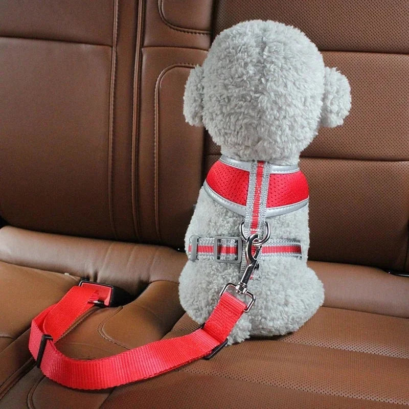 Retractable Dog Car Seat Belt — Adjustable Safety Harness Leash for Car Travel