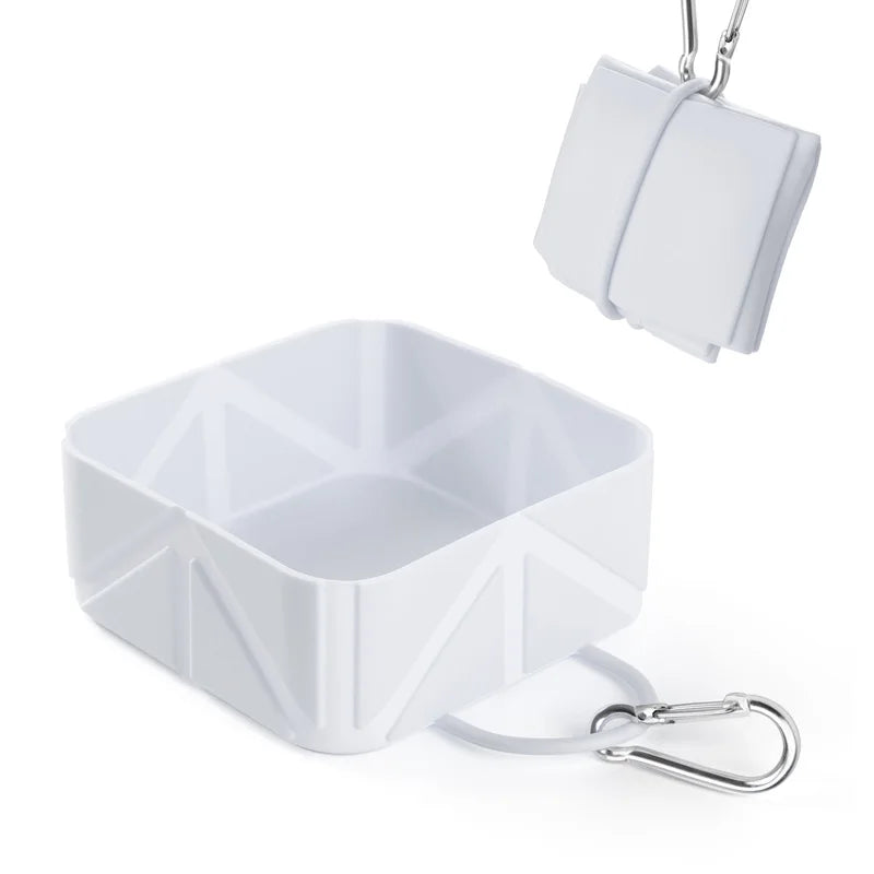Collapsible Silicone Dog Travel Bowl — Portable & Foldable, 2-Pack